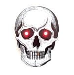 Wokwi CS-PIRATE-SKULL Enlarged Image