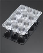 Ledil C12528_PETUNIA Enlarged Image