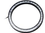 RL208 MicroBrite™ Bright Field Ring Lights