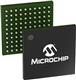 Microchip Technology ZL30156GGG2