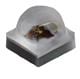 Cree LED XQARED-02-0000-000000X02
